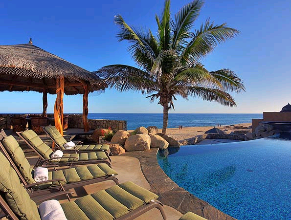 Poolside view with palm tree