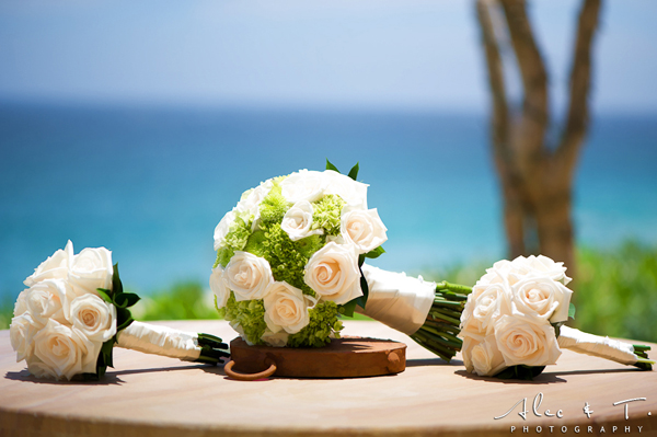 Cabo San Lucas Destination Wedding Capella Pedregal Resort Mexico