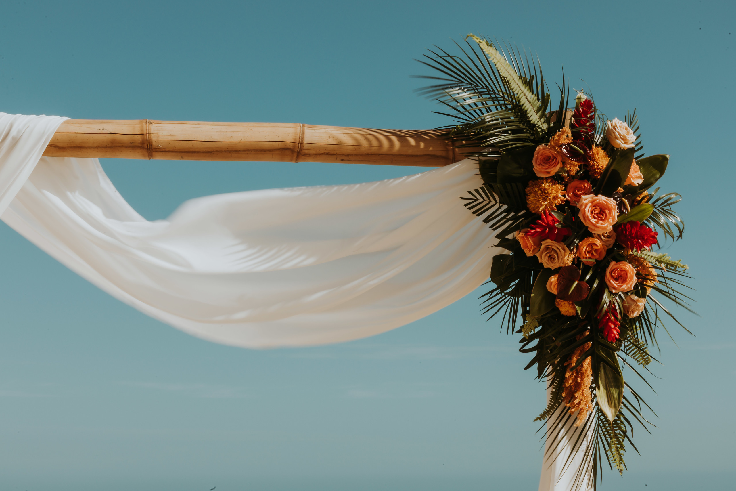 Cabo San Lucas destination wedding